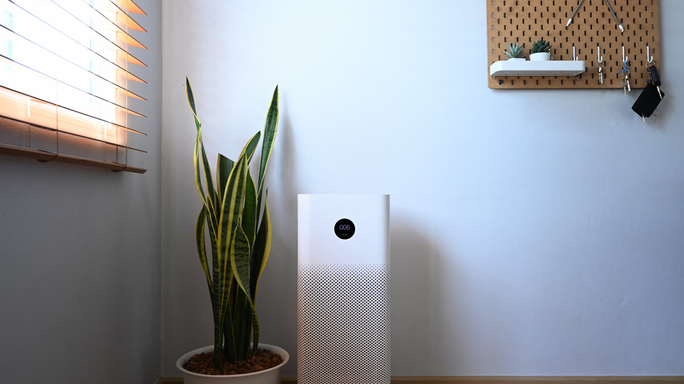 air purifier for indoor air quality